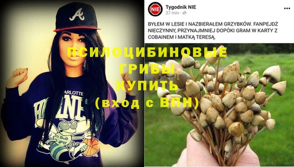 метамфетамин Липки