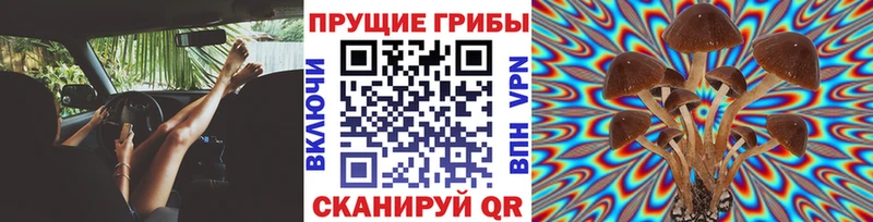 мориарти официальный сайт  Южно-Сахалинск  Галлюциногенные грибы мицелий 