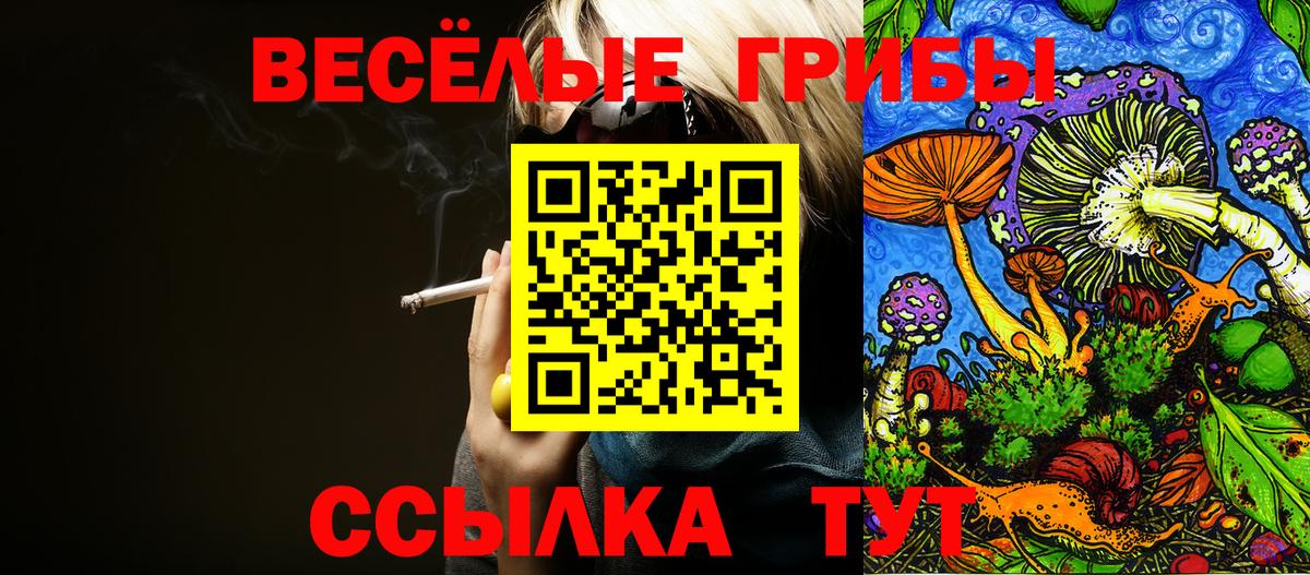 Псилоцибиновые грибы Magic Shrooms Южно-Сахалинск