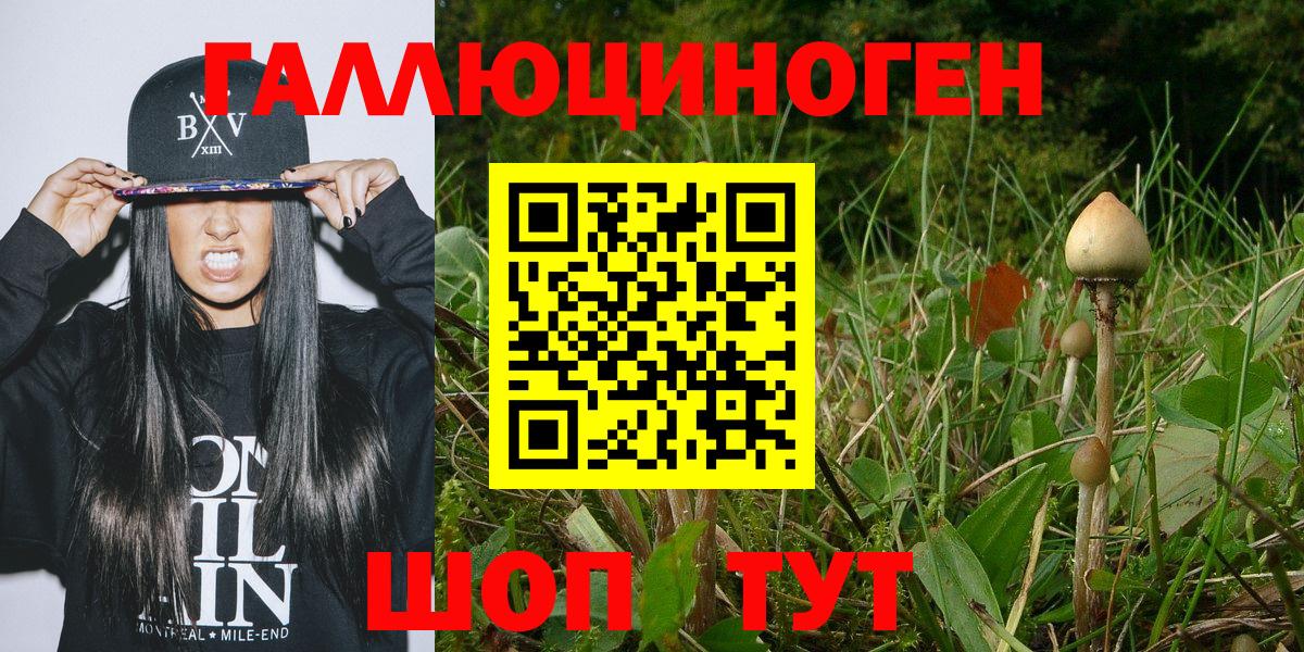 Псилоцибиновые грибы ЛСД  Галлюциногенные грибы MAGIC MUSHROOMS  Вход с VPN  Южно-Сахалинск 